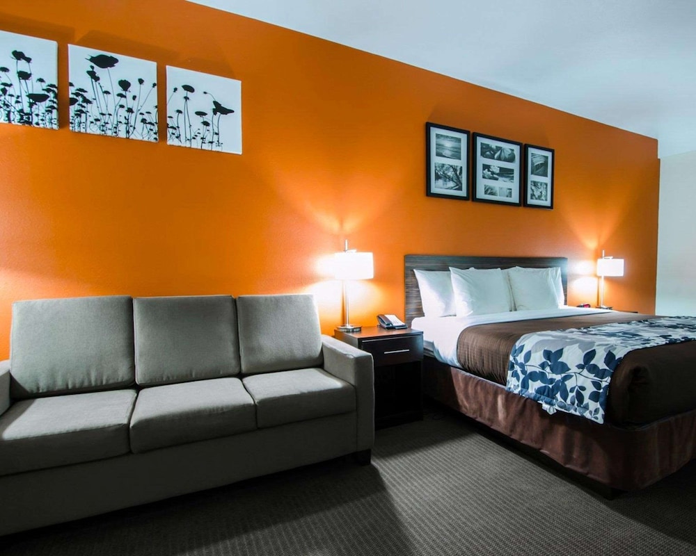 SUITE, KING BED