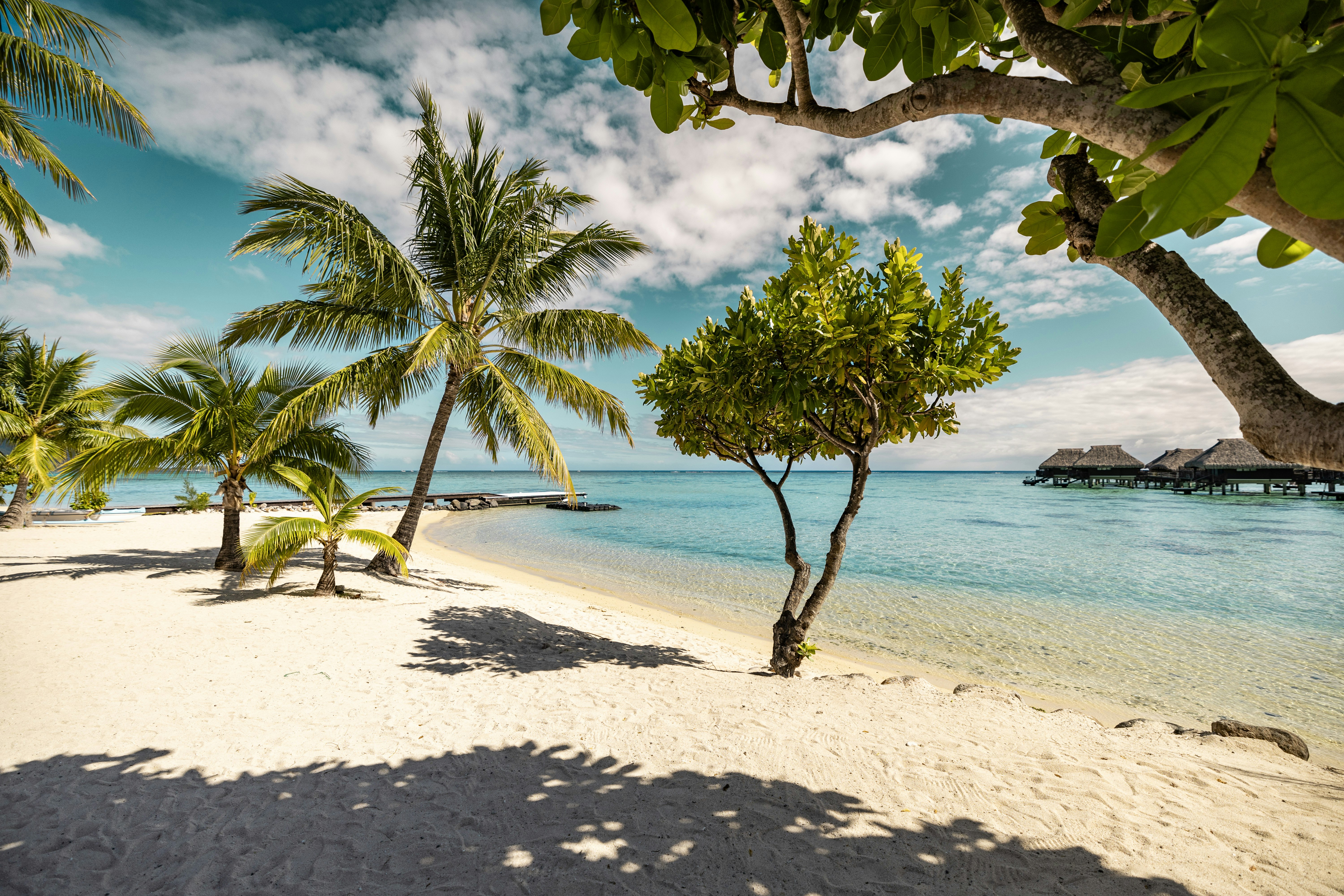 Hilton Moorea Lagoon Resort and Spa 62/81