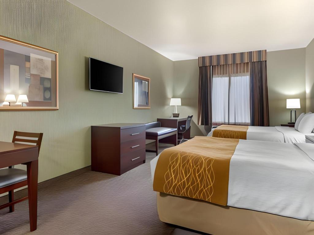 جناح بغرفة نوم واحدة، Comfort Inn & Suites Mitchell I-90 7/9