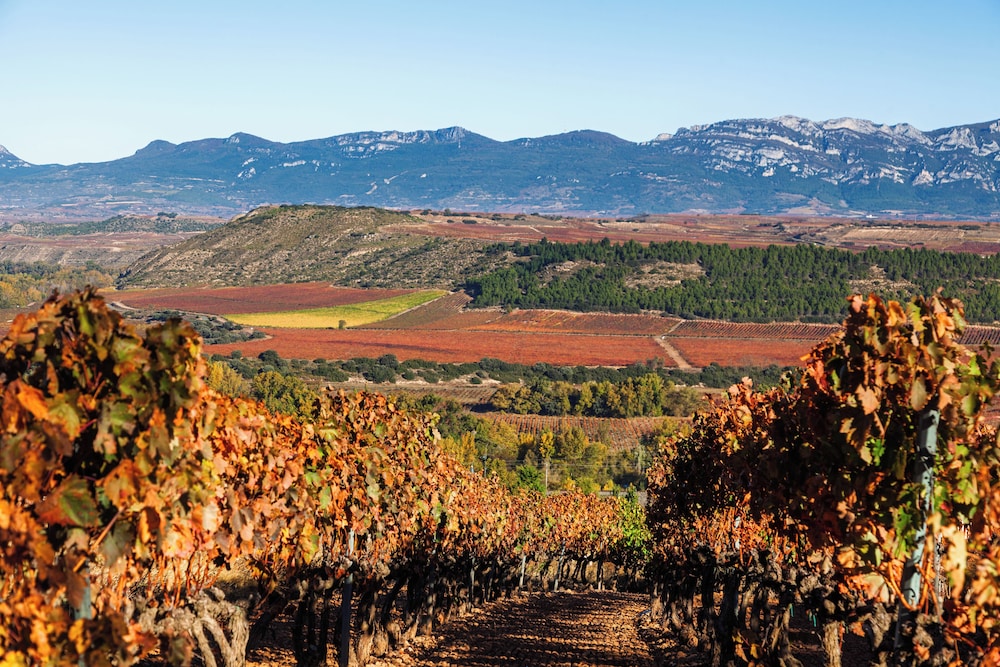 4US RIOJA WINE HOTEL 36/41