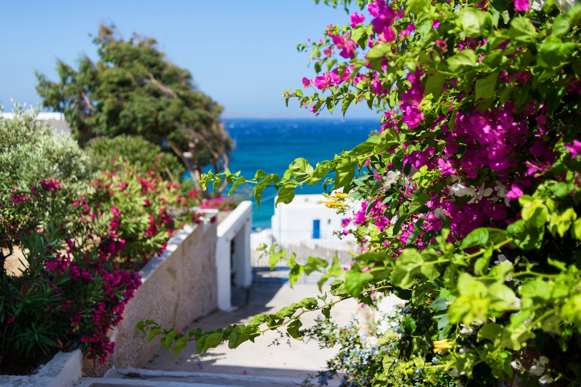 Alkistis Hotel Mykonos - Adult Only 35/39