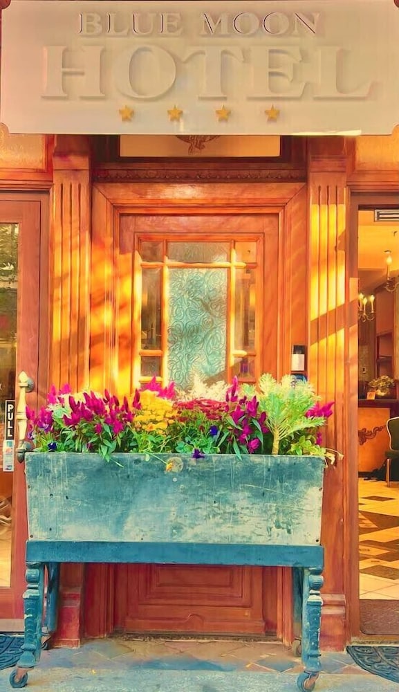 Blue Moon Boutique Hotel 5/50