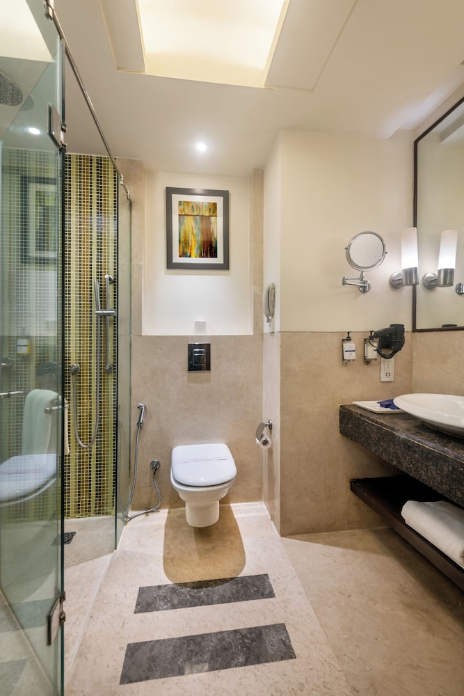 The Golden Palms Hotel Spa Delhi 41/41