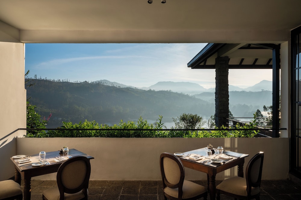 Camellia Hills 43/58