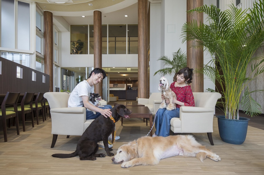 Izumigo Izukogen Dog Paradise Hotel 27/38