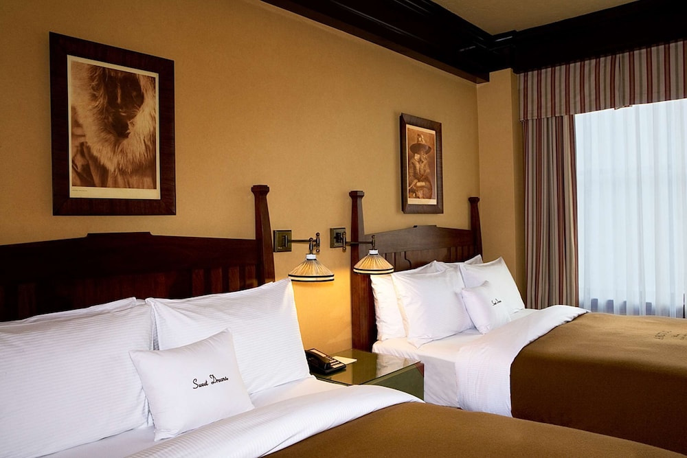 Arctic Club Hotel 9/50