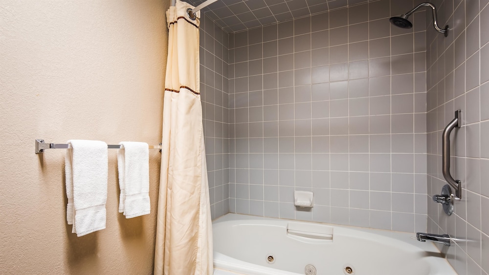 Best Western Plus Forest Park Inn 22/53