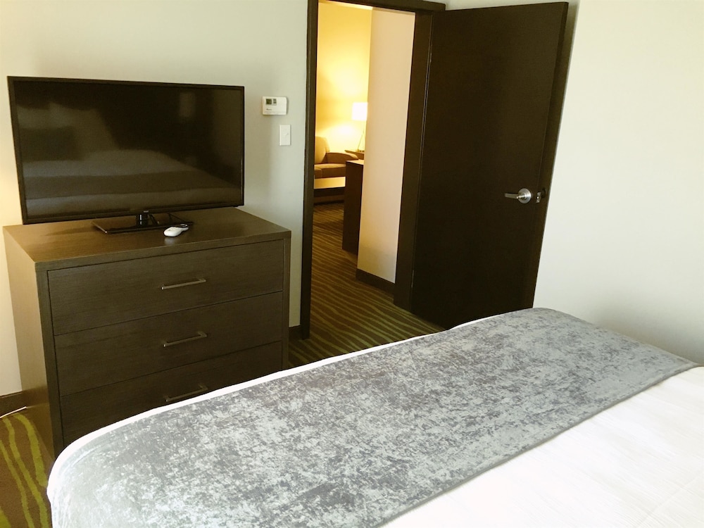 Best Western Plus At Prien Lake Inn And Suites 15/48