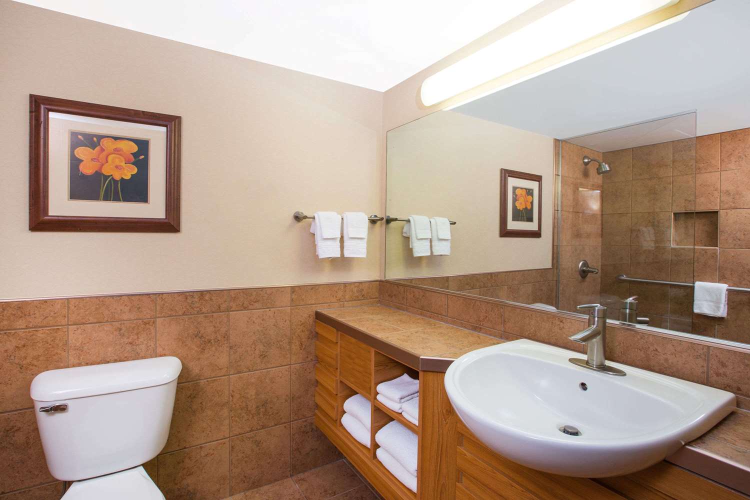Ramada by Wyndham Des Moines Tropics Resort & Conference Ctr 18/18