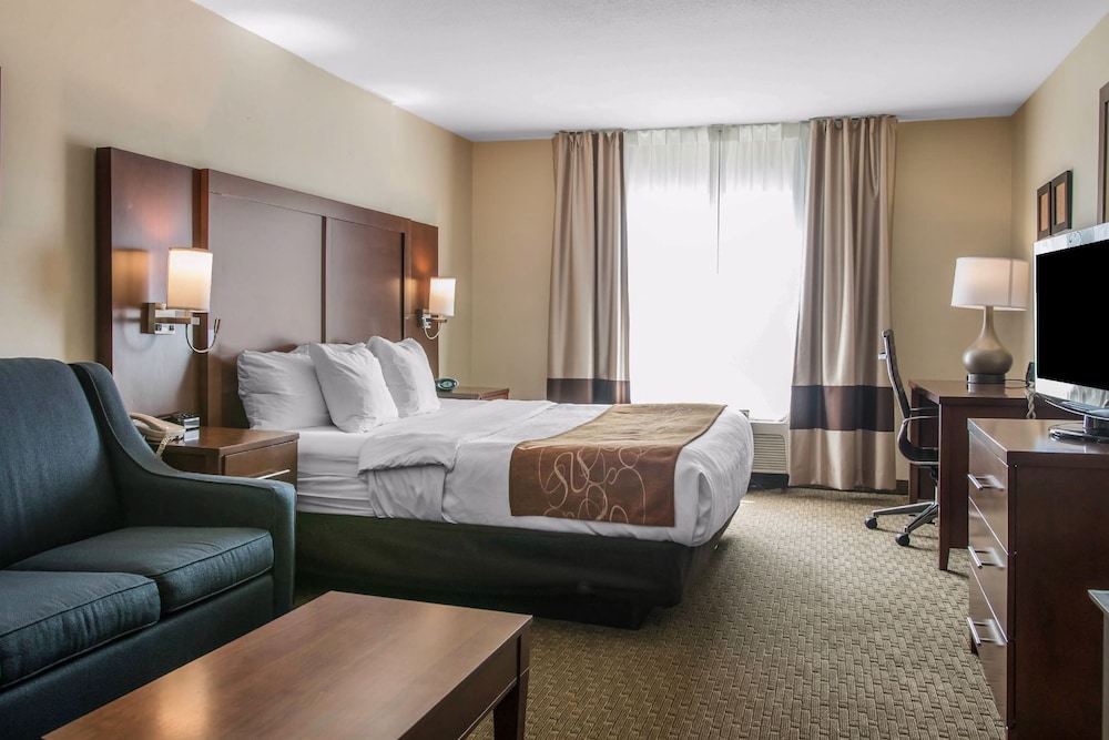 Comfort Suites Wixom - Novi 11/32