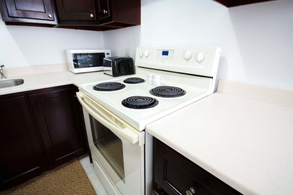 Cattleyas New Kingston Guest Apartment 17/17