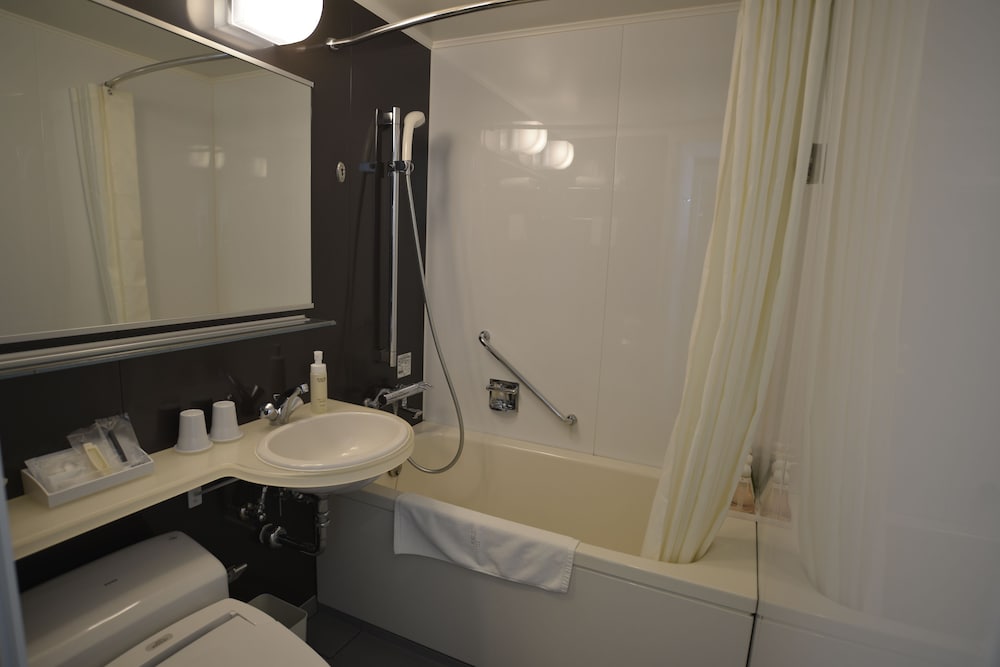 Lotte City Hotel Kinshicho 8/64