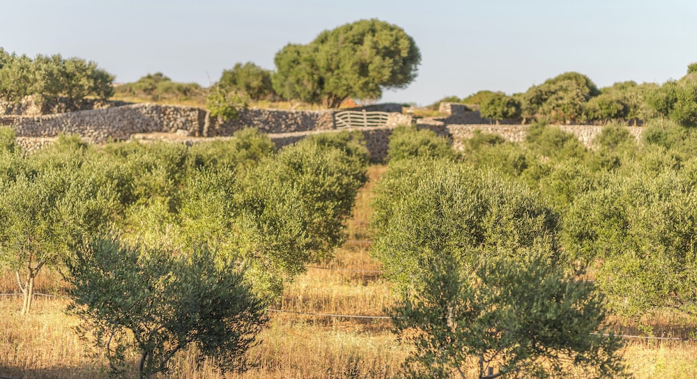 Sant Joan de Binissaida 64/67