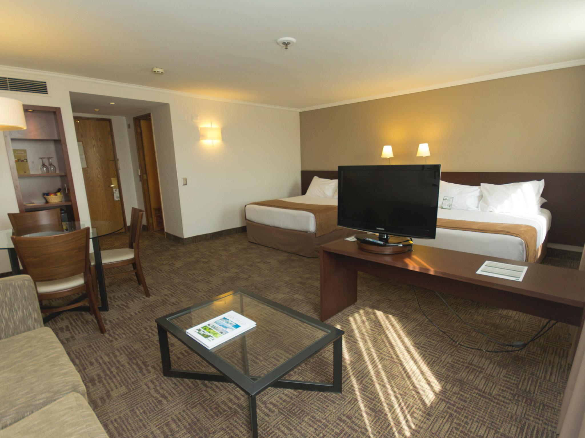 غرفة قياسية بإطلالة على الجبل، Hotel Director Vitacura 3/6