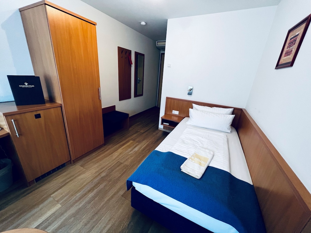 Hotel & Restaurant Goldener Pflug 18/77