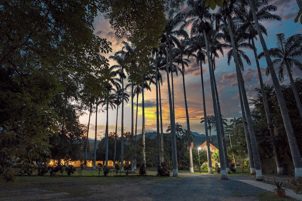hotel las palmeras 44/50