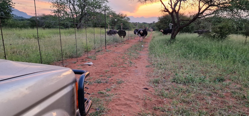 Thandolwami Bushlodge & Spa 24/26