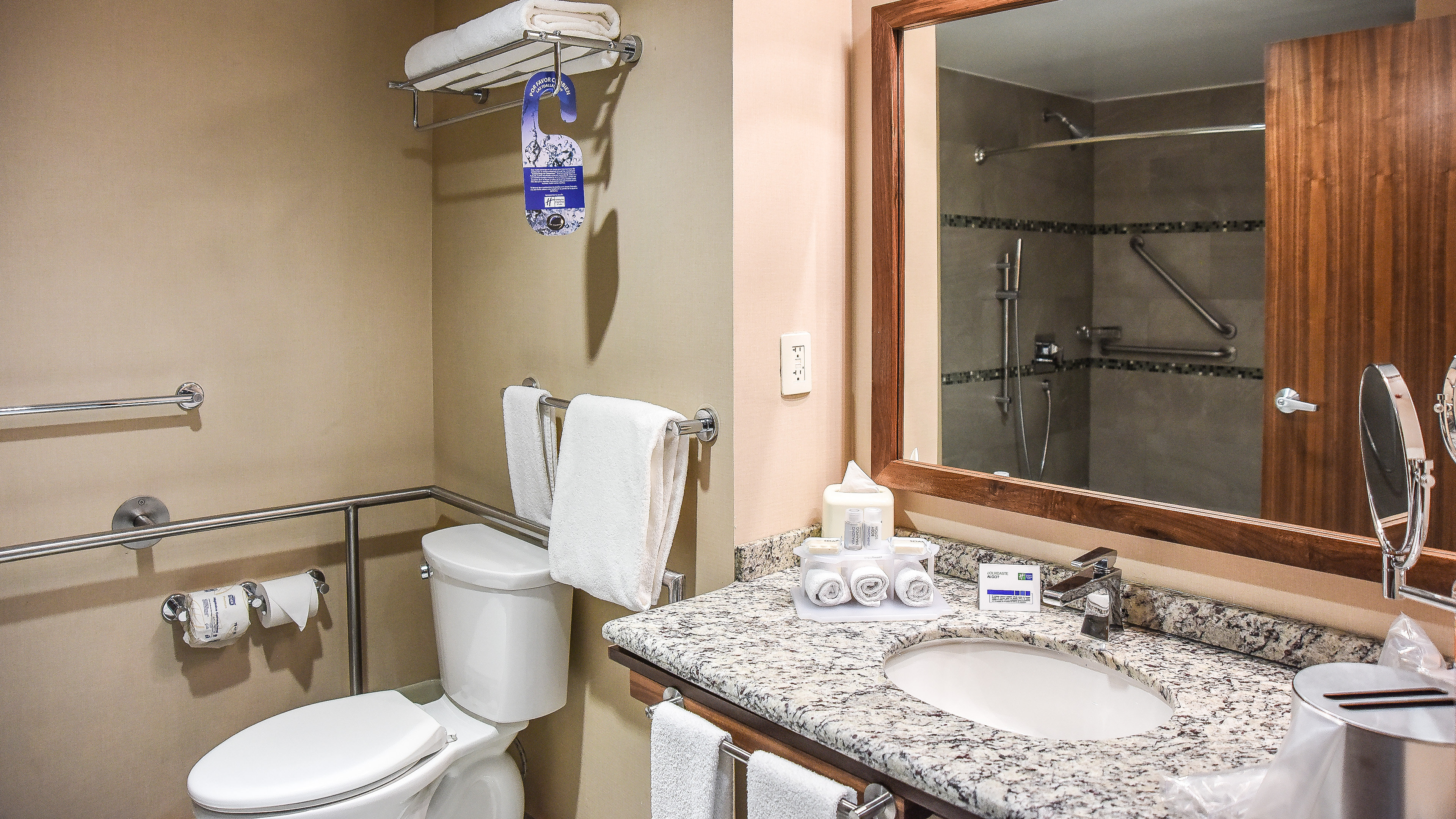 Holiday Inn Express and Suites Celaya 47/50