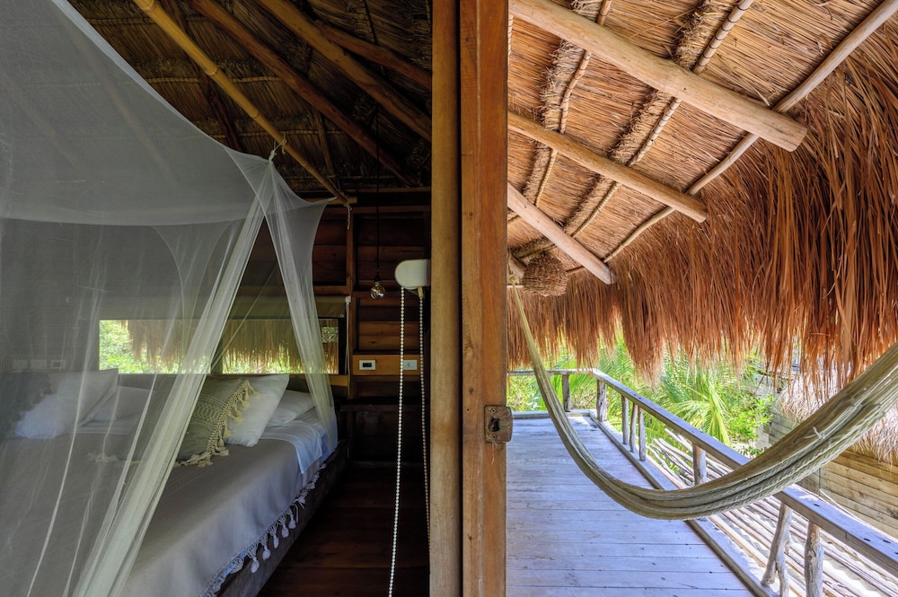 Vida Silvestre Tulum 26/50