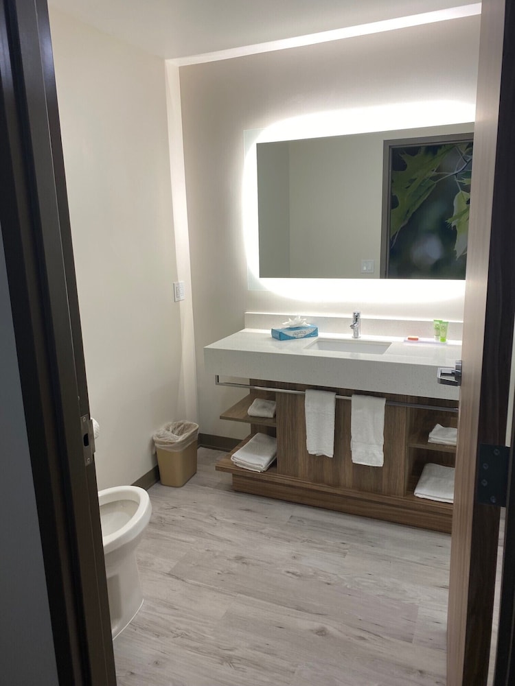 Wyndham Garden Orlando Airport 22/52