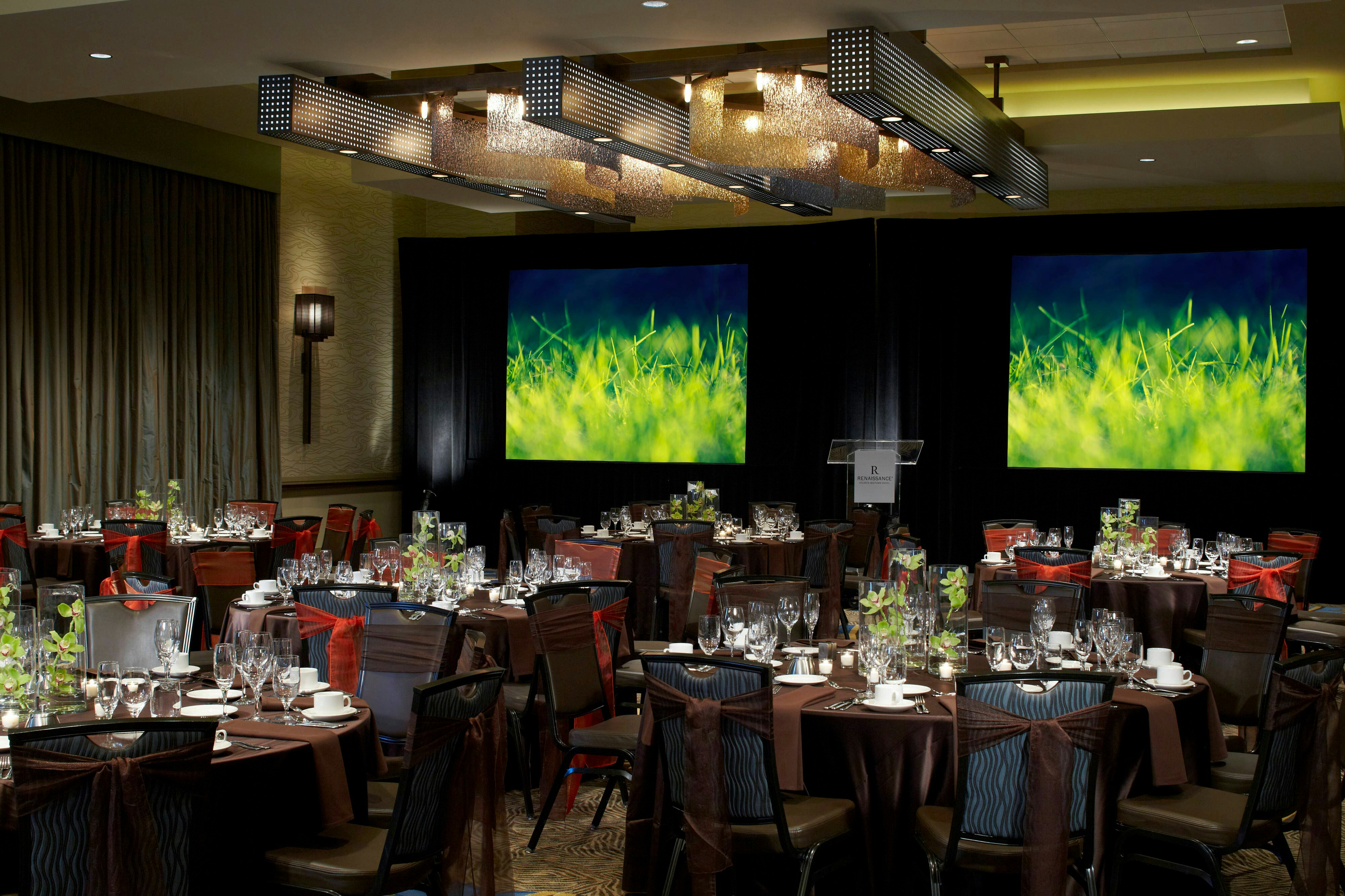 Renaissance Atlanta Midtown Hotel 21/28