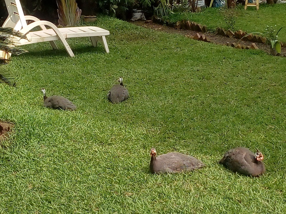 Beach Garden Bnb 26/48