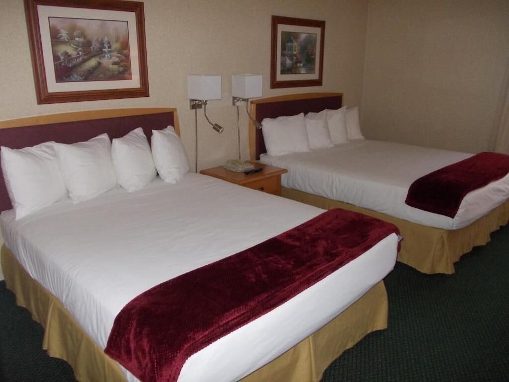 Rocky Inn Express 25/49