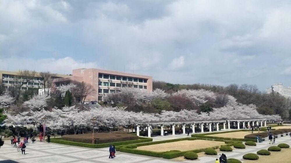 24 Guesthouse Seoul Cheongryangri 8/61