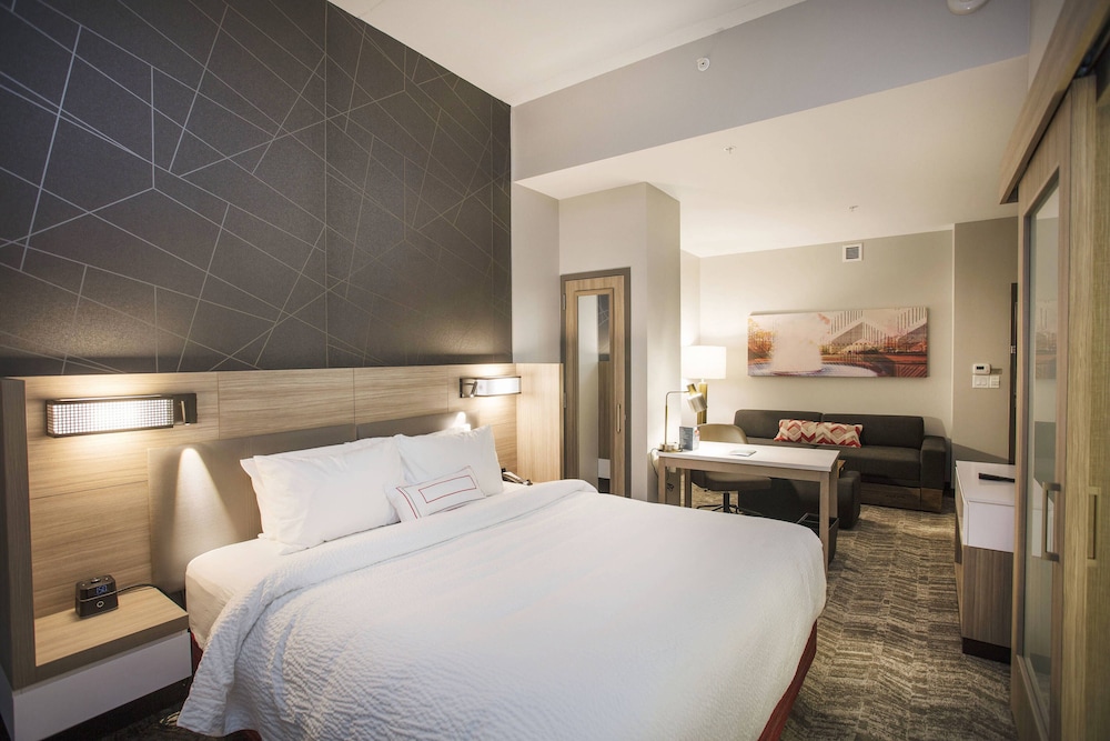 SpringHill Suites by Marriott Athens Downtown/University Area 19/41