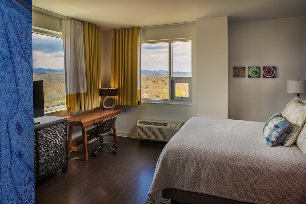 Hotel Indigo Asheville Downtown 25/73