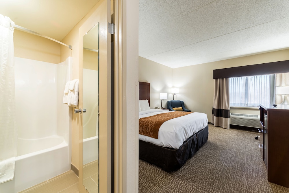 Comfort Inn Festus-St. Louis South 12/39