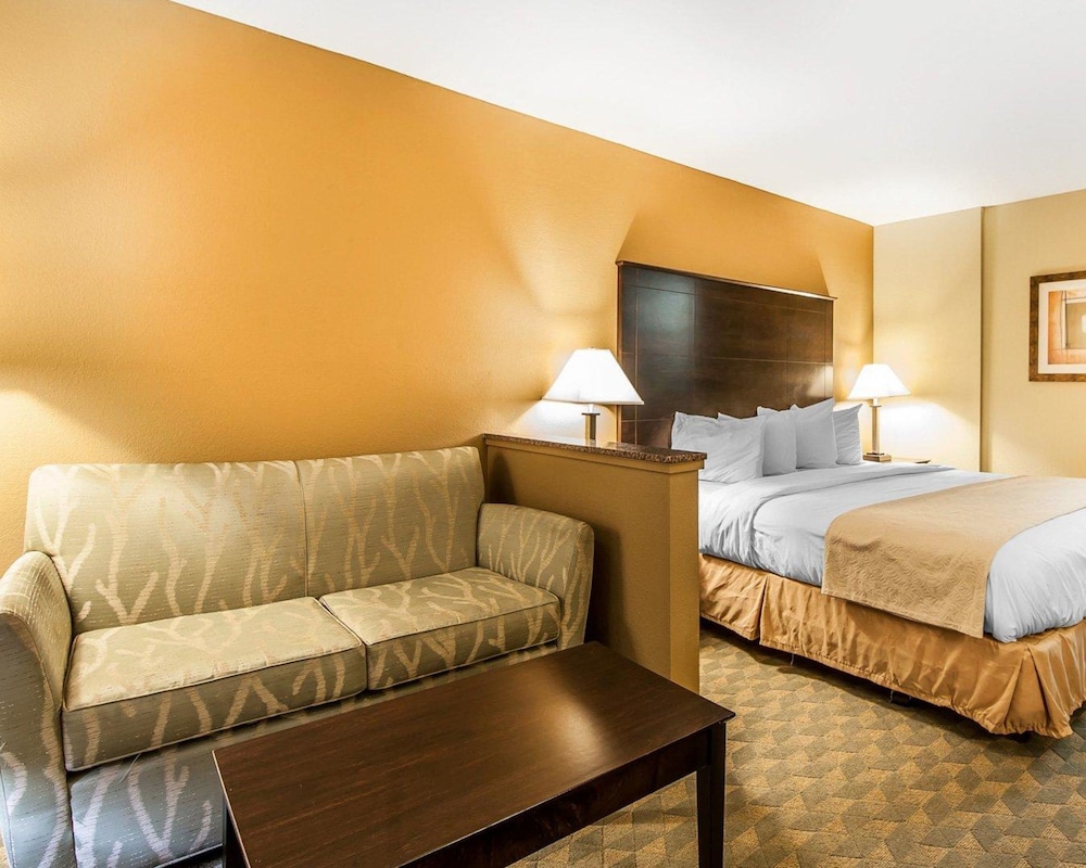 Quality Inn & Suites Bremen, GA 12/37