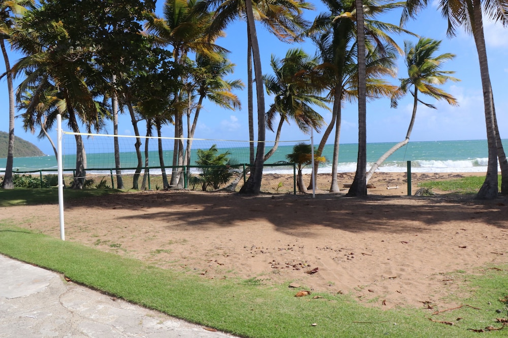 Parador MaunaCaribe 30/50