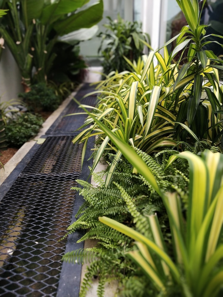 Beds In Garden Hostel Sdn Bhd 38/50