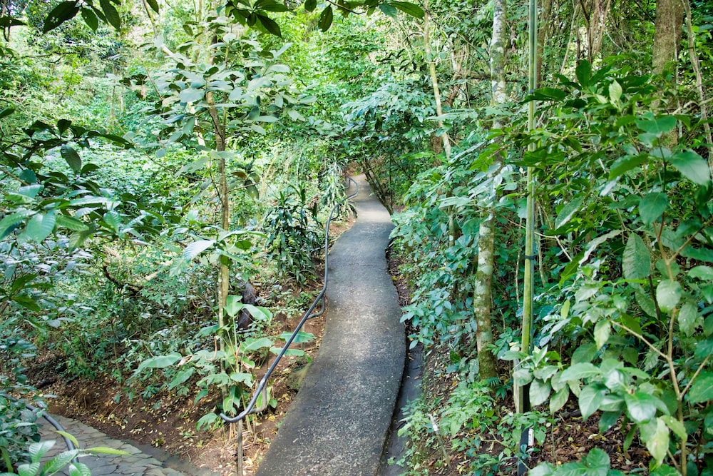 Monteverde Luxury Hotel 6/67