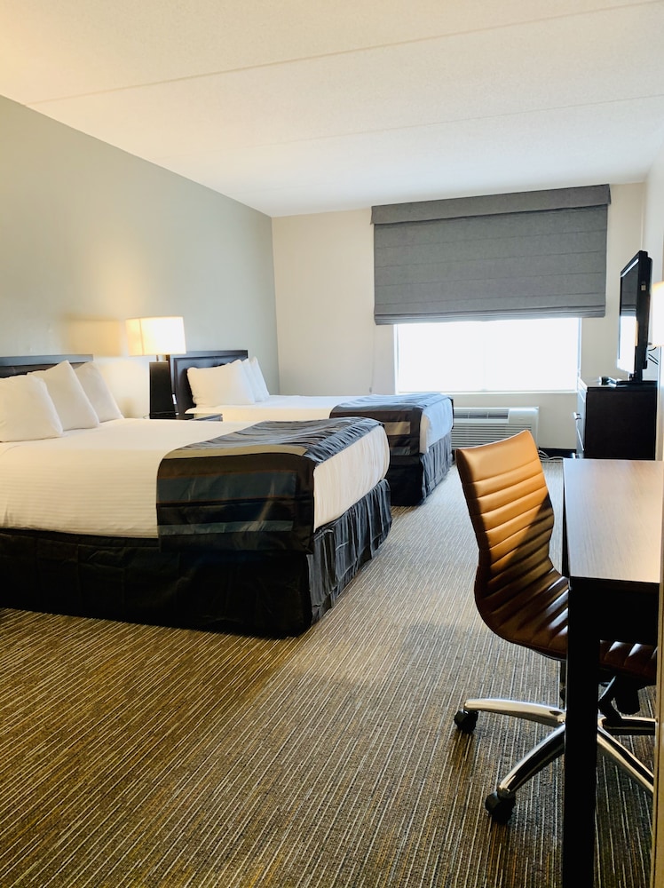 Wingate By Wyndham Wilmington 49/56