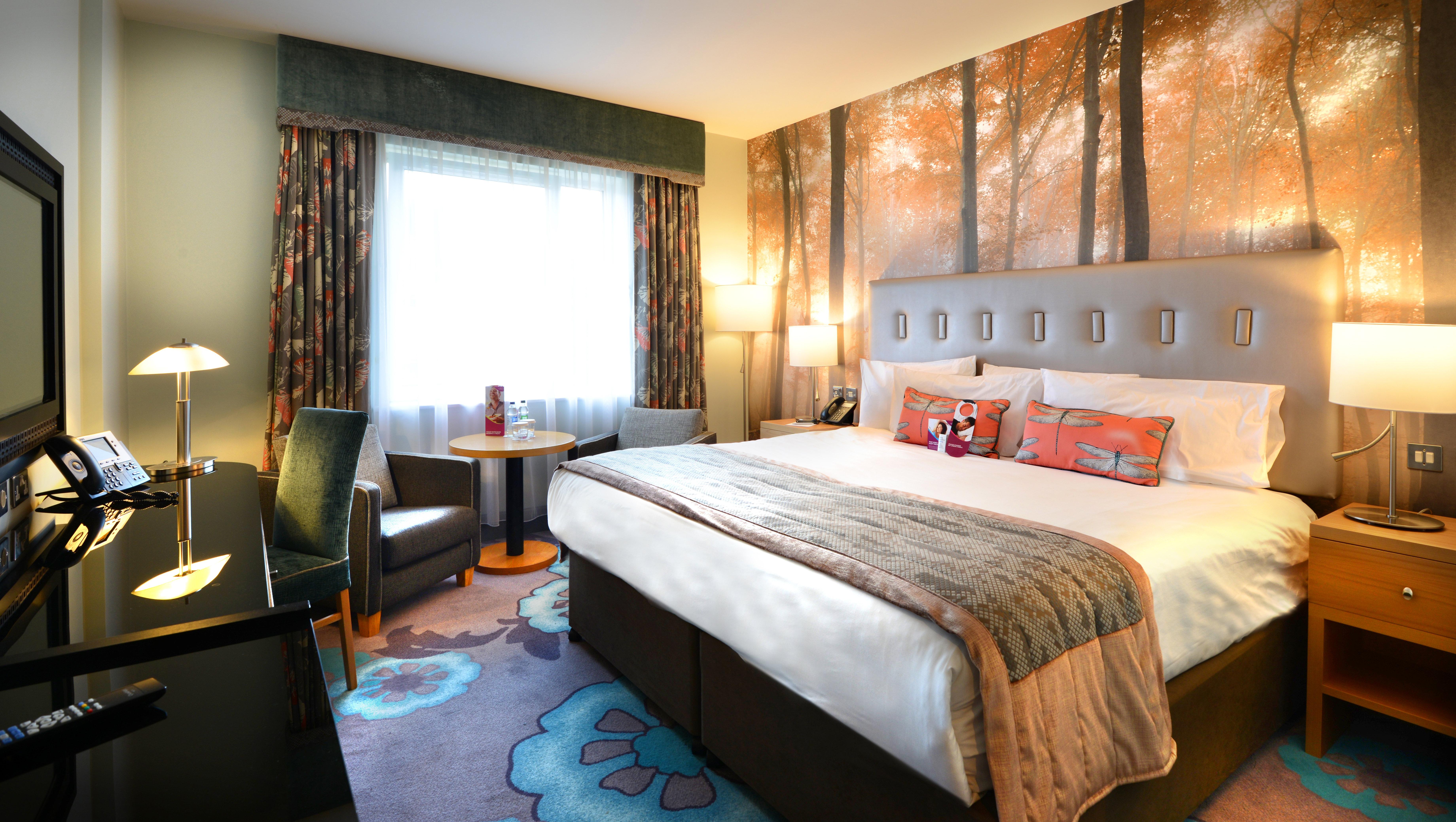 Room, King Bed