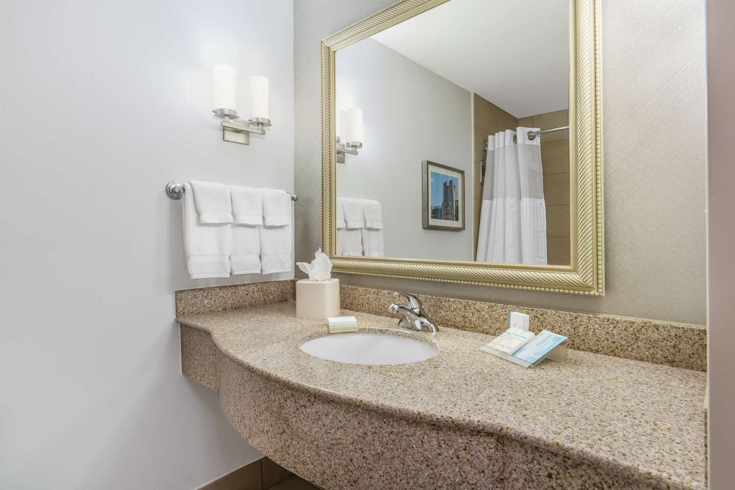 Evolution, 2 Queen Beds، Hilton Garden Inn Blacksburg University 3/3