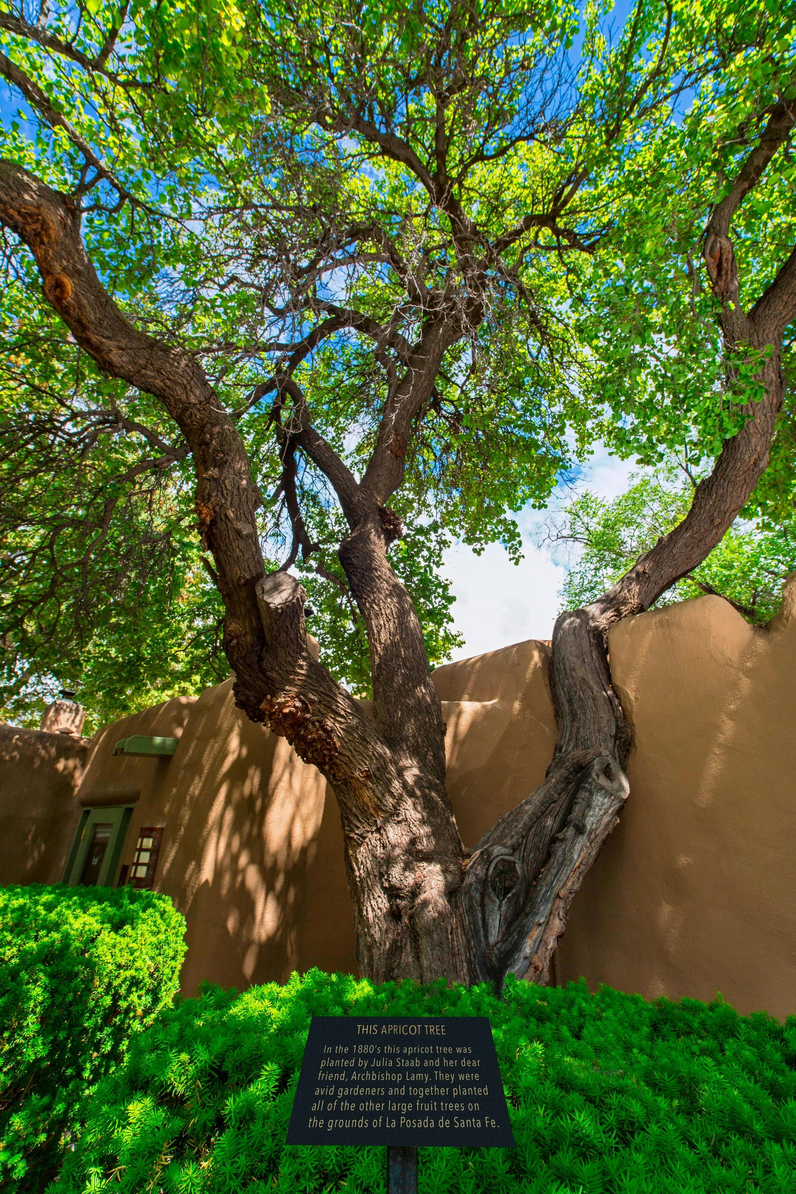 La Posada de Santa Fe, a Tribute Portfolio Resort & Spa 75/81