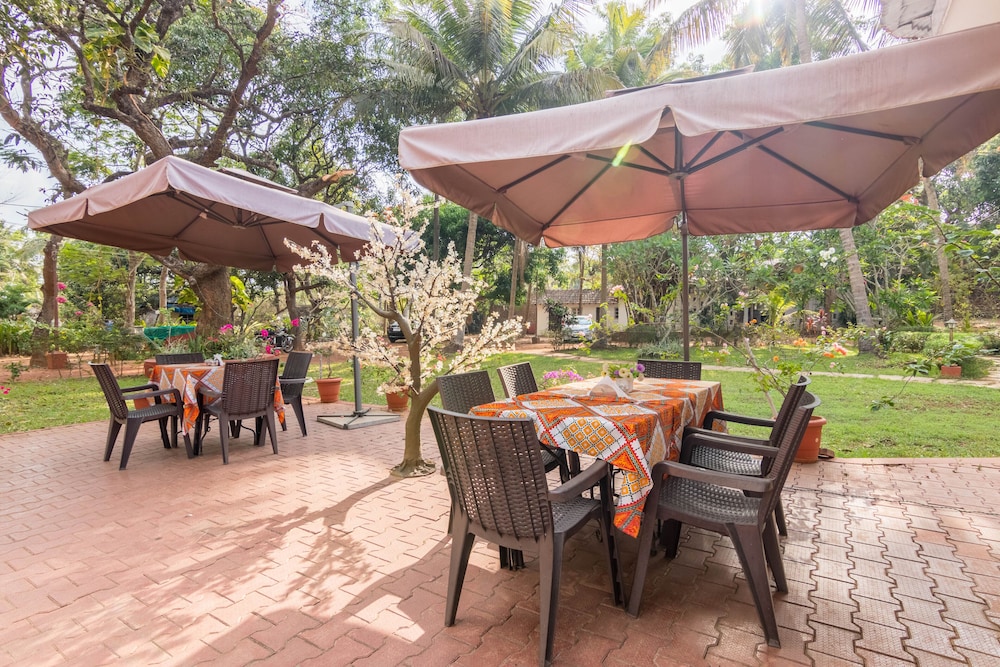 Granpas Inn Bougainvillea 40/50
