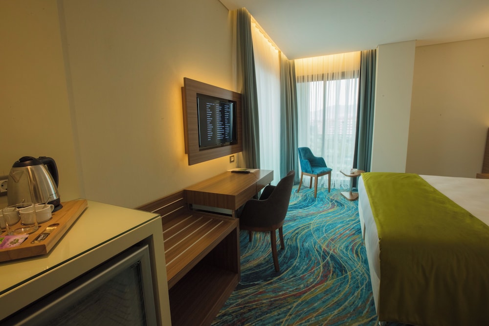 Ibis Styles Izmir Bornova 22/37