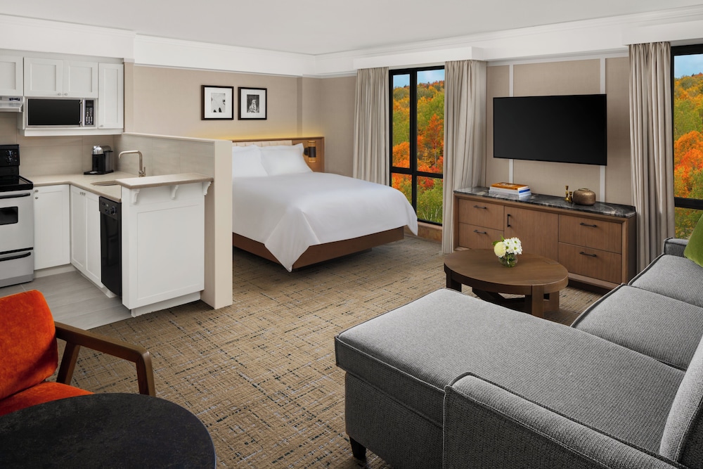 Luxury, Studio, Suite, Queen Bed, Kitchen