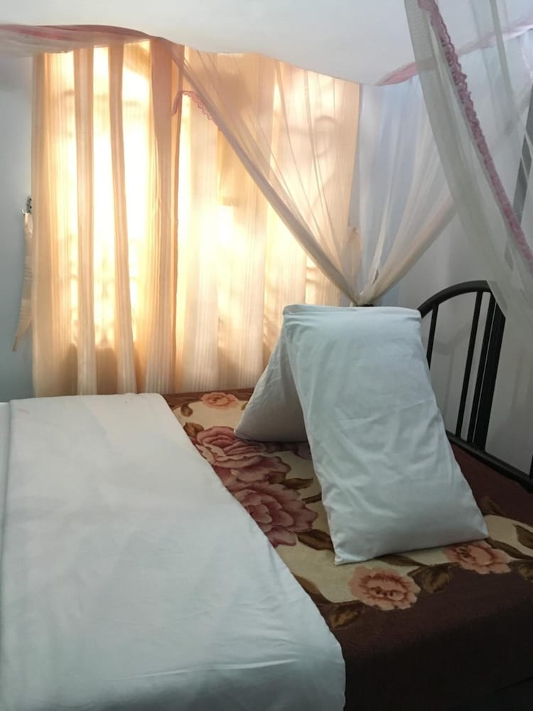 Kutetere汽车旅馆(Kutetere Motel) 图片5