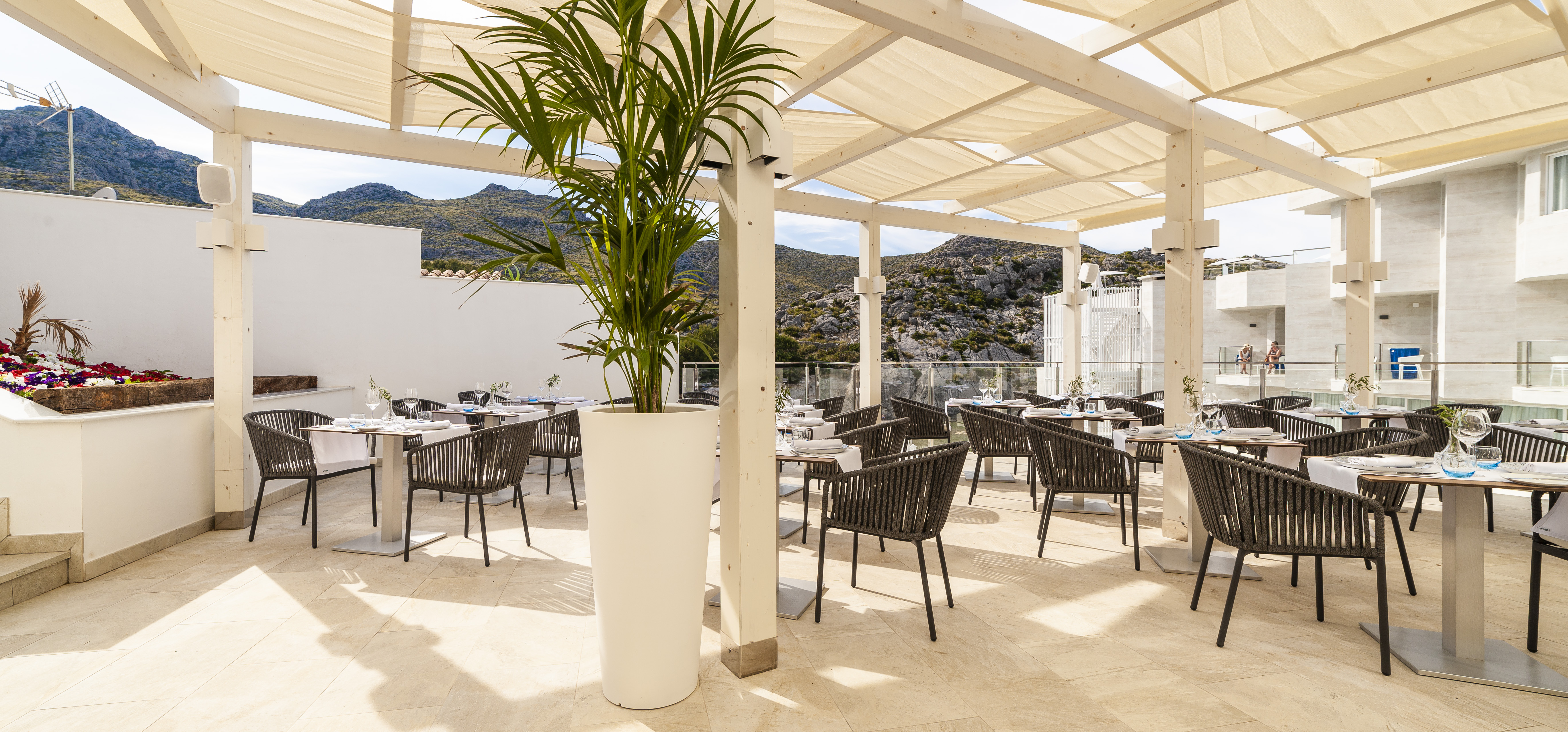 Globales Don Pedro - Adults Only 36/50