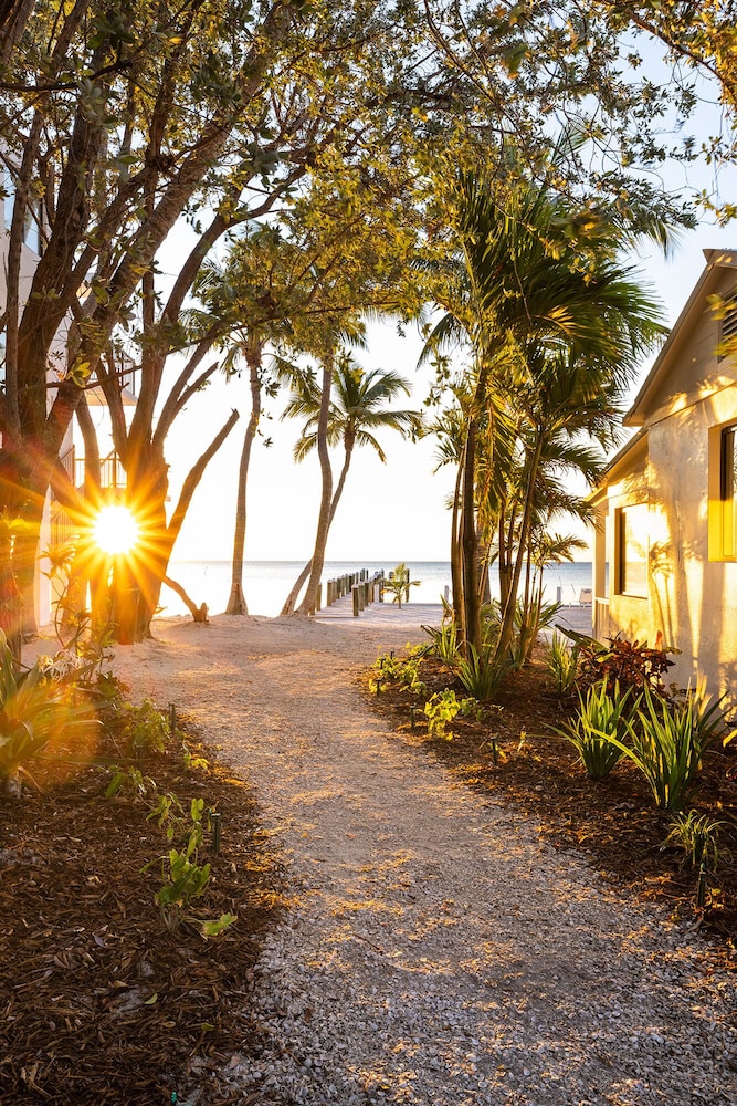 Pines Palms Resort 68/73