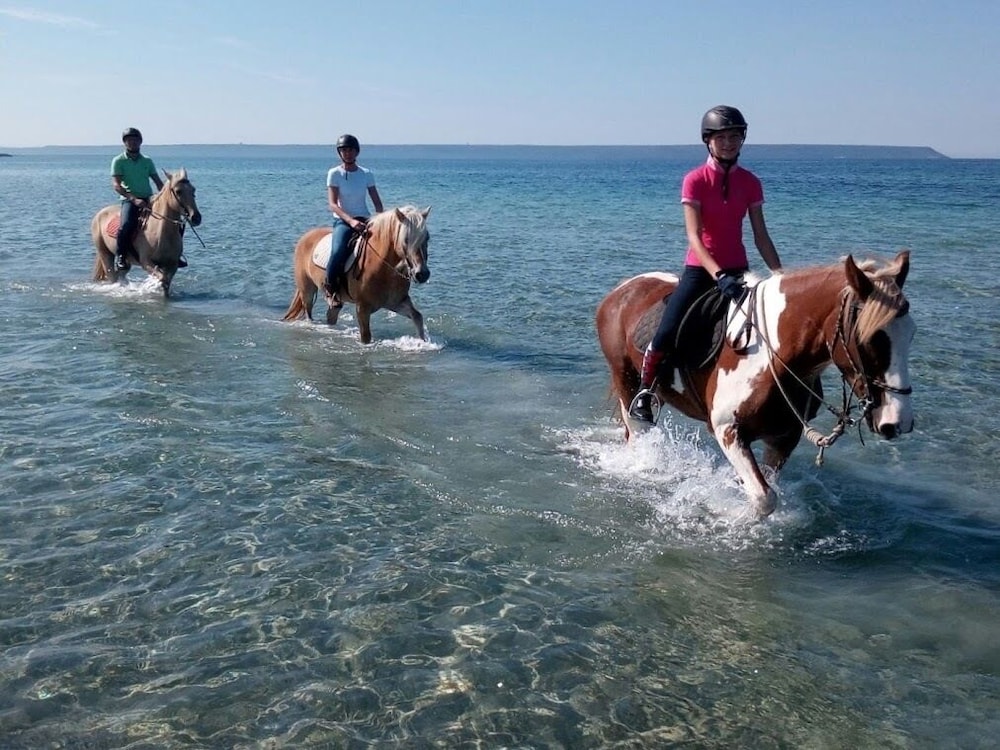 Horse Country Resort Congress & Spa 34/50