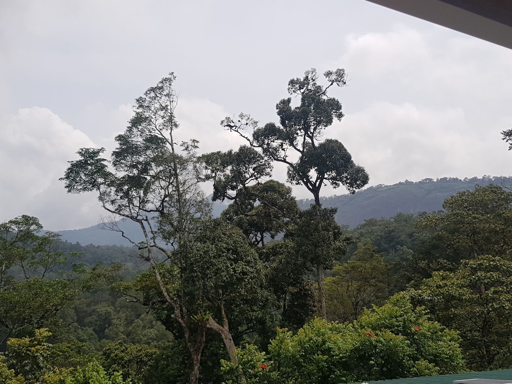 Dew Drops Farm Resorts 40/50