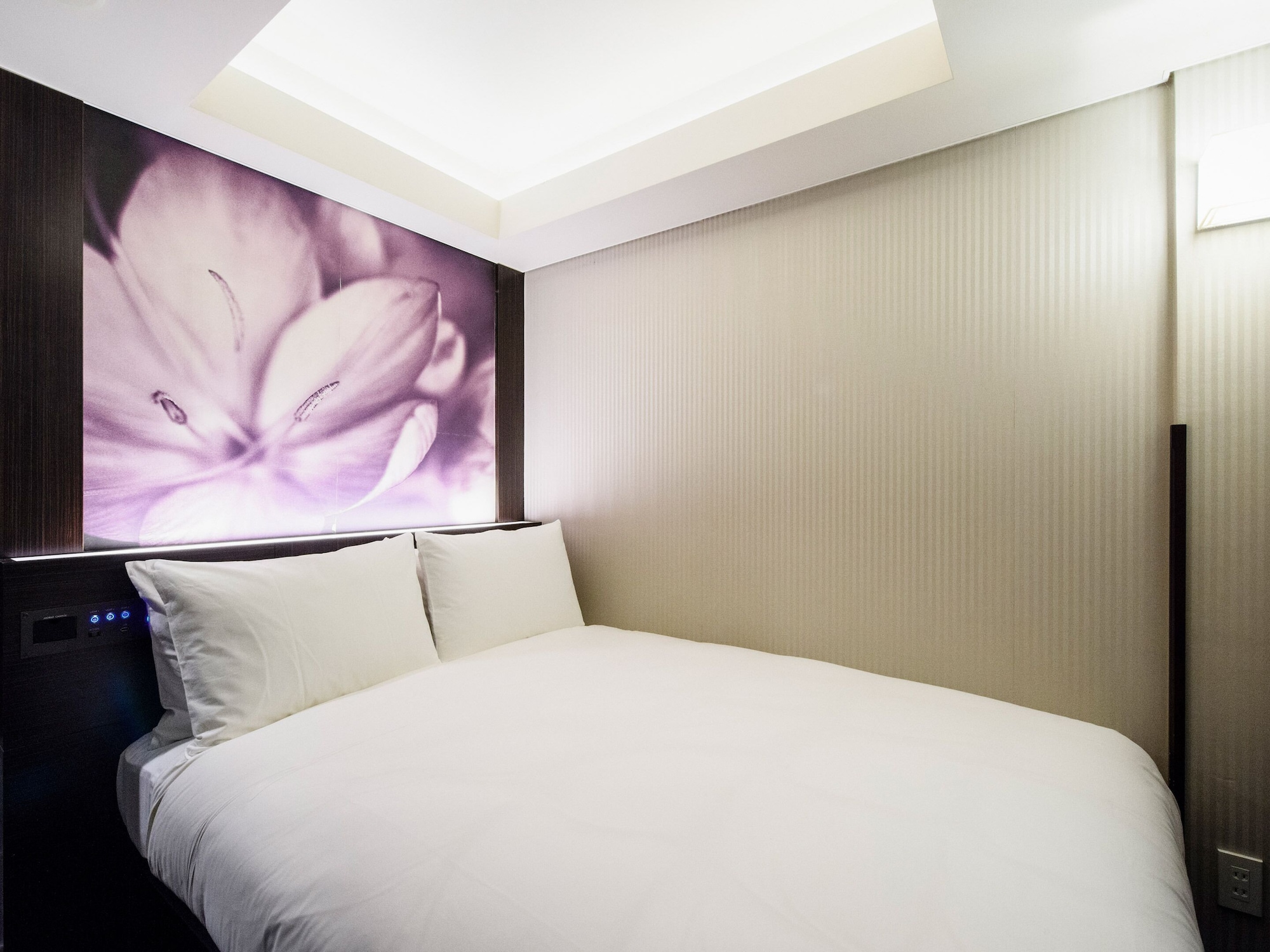 Economy, Double Bed