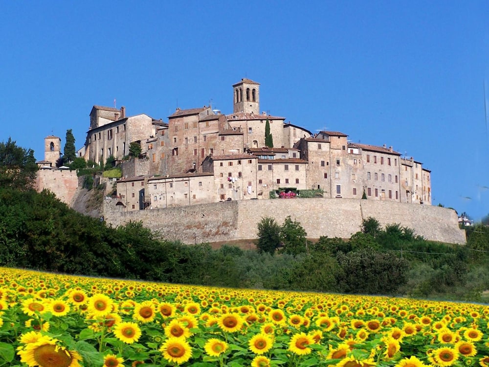 La Meridiana 37/50