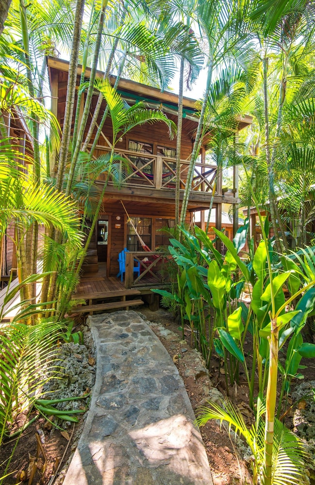 Las Rocas Resort And Dive Center 48/63